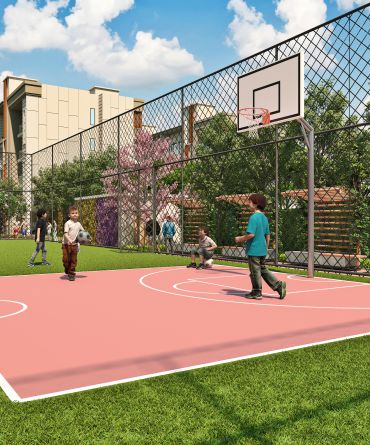 Basket Ball Court