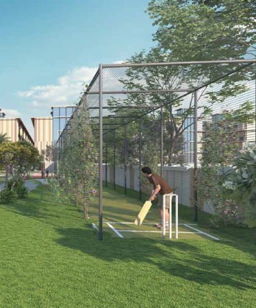 Cricket Net